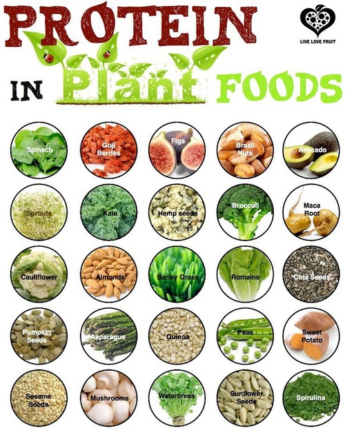 Plant Based Food Chart